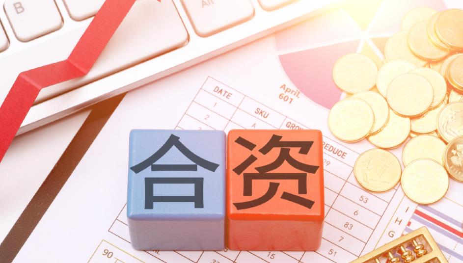 某国企与某能源公司成立合资公司项目可行性研究报告案例