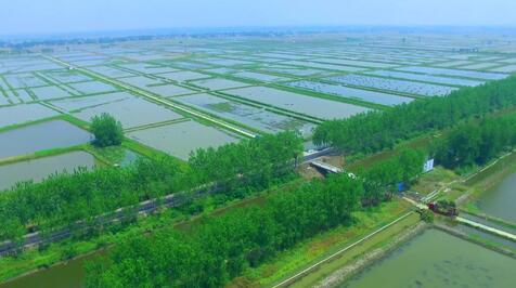 湖北省某水产养殖可行性报告案例(图1)