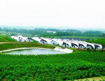 农业项目开发可行性研究报告范例(图1)