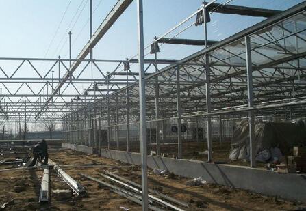 山东某温室大棚建设工程可行性报告案例(图1)