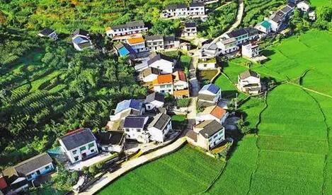 江苏某县数字建设振兴乡村项目可行性研究报告案例(图1)