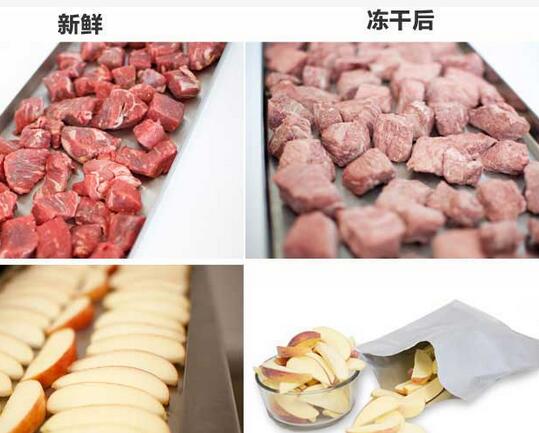 冷冻干燥食品技术可行性报告编写模板(图1)