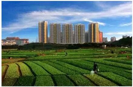 土地开发项目可研报告编制范本(图1)