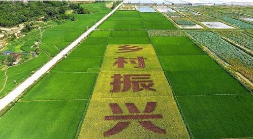 振兴乡村项目可行性研究报告如何编写(图1)