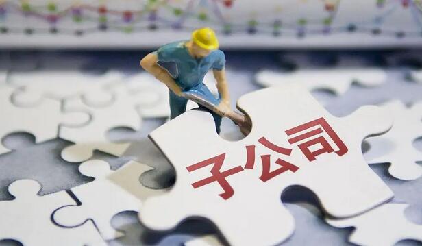 关于设立公司可行性研究报告的参考范文(图1)