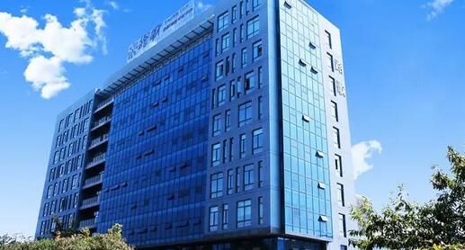 成立协会的可行性报告的主要内容(图1)