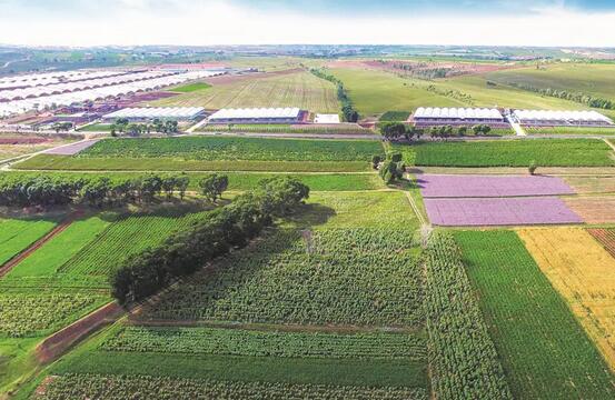 某生态修复产业基地项目可行性研究报告案例(图1)