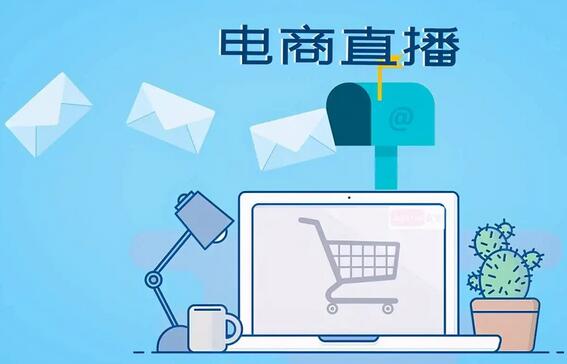 关于直播电商可行性分析报告编制范文(图1)