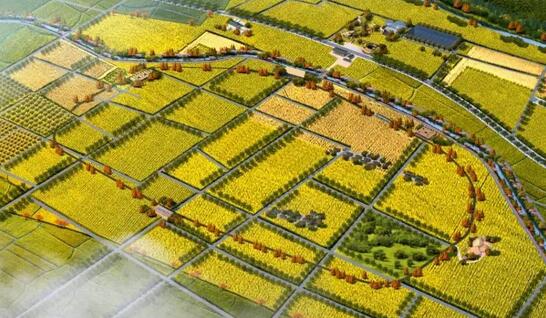 某田园综合体项目可行性研究报告案例(图1)