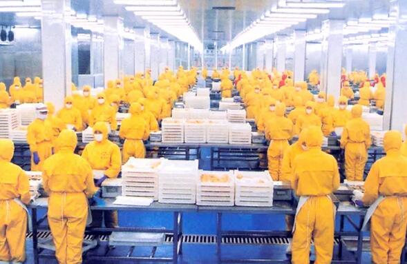 农产品深加工项目可行性研究报告包括哪些内容？(图1)