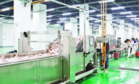 农产品加工项目可行性研究报告主要内容(图1)