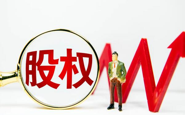 某公司股权变更项目可行性研究报告案例(图1)