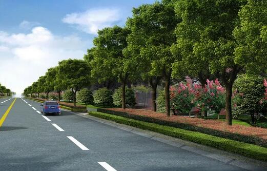 道路绿化可行性研究报告包含哪些内容？(图1)