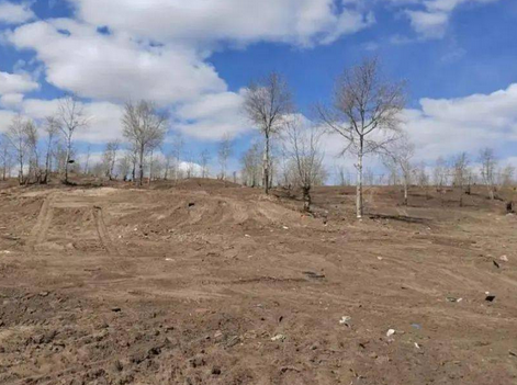 关于某地区占用林地可行性研究报告范文(图1)