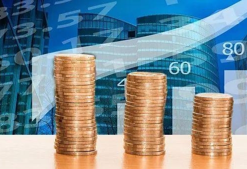 某大学增资北京某公司项目可行性研究报告案例(图1)