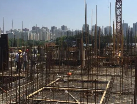 某公司组建可行性研究报告内容(图1)