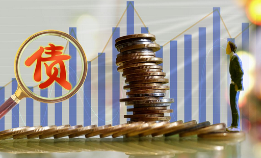 政府专项债券发行的一般流程(图1)