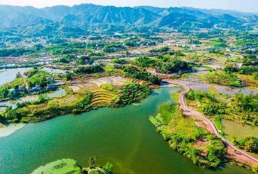 使用林地可行性研究报告主要内容(图1)