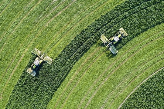 组建某牧草种植公司项目可行性研究报告案例(图1)