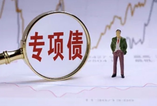 政府专项债需要哪些资料？(图1)