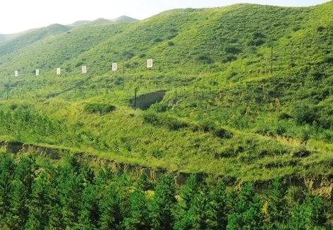 林地占用可行性研究报告收费标准(图1)