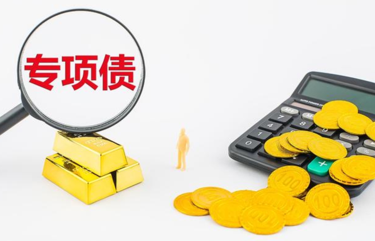 国家专项债怎么申请(图1)