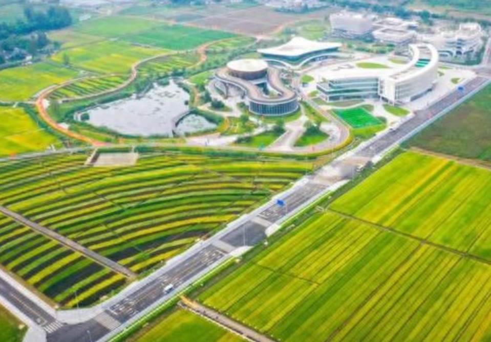 编写可行性报告多少钱？(图1)