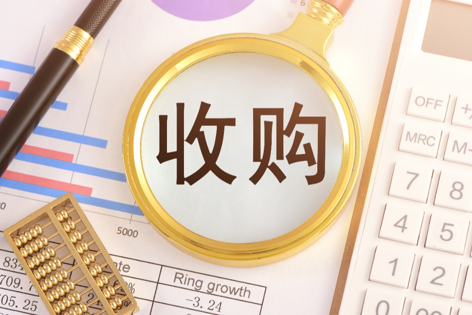 收购企业可行性报告案例(图1)