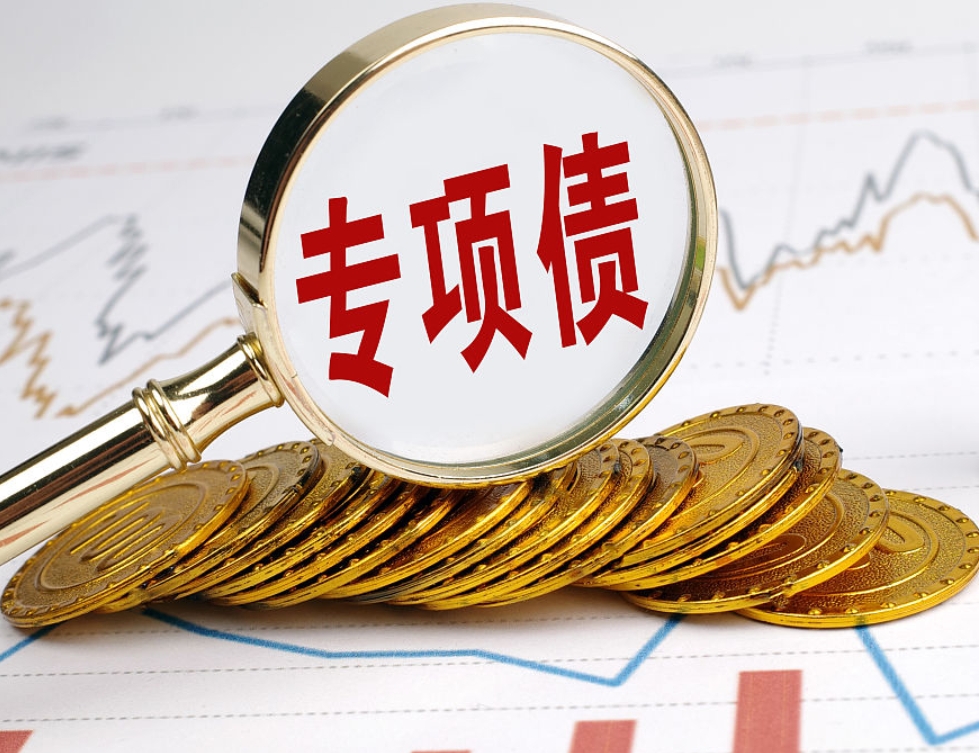 专项债发行机构(图1)