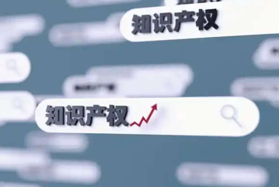 某知识产权评估项目可行性研究报告案例(图1)