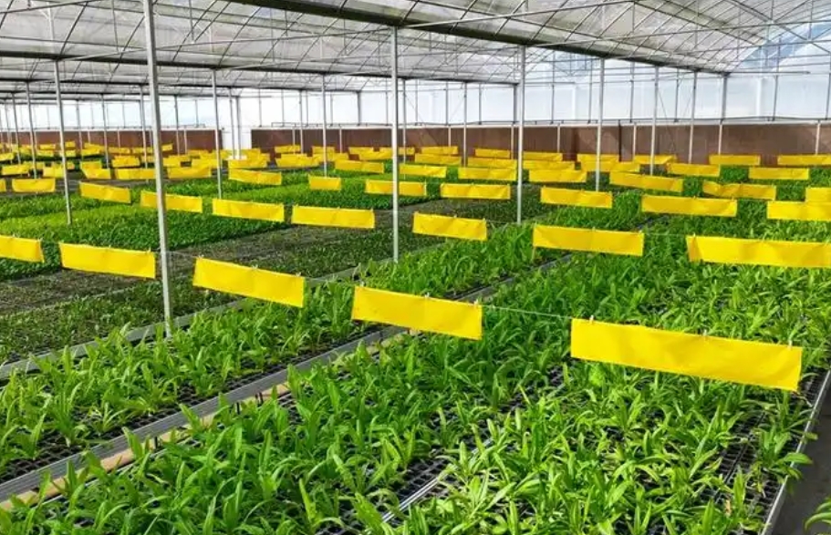 最新可研报告取费标准(图1)