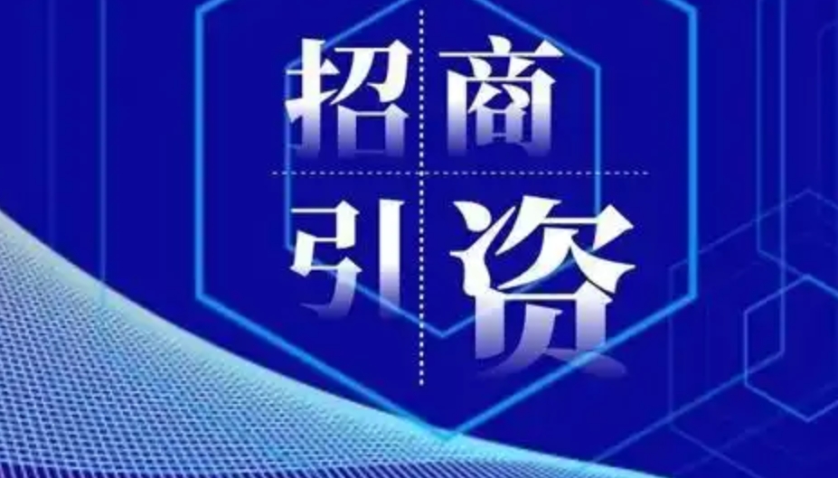 招商项目商业计划书模板(图1)