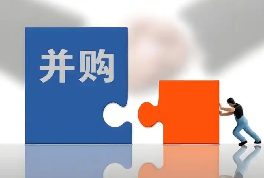 国企并购可研报告主要内容(图1)