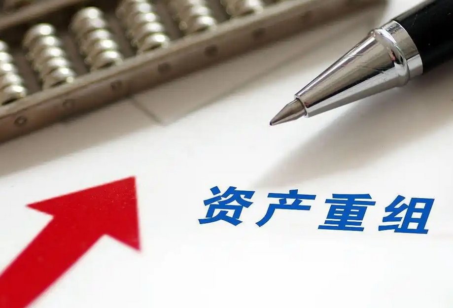 公司重组整合可研报告范文(图1)
