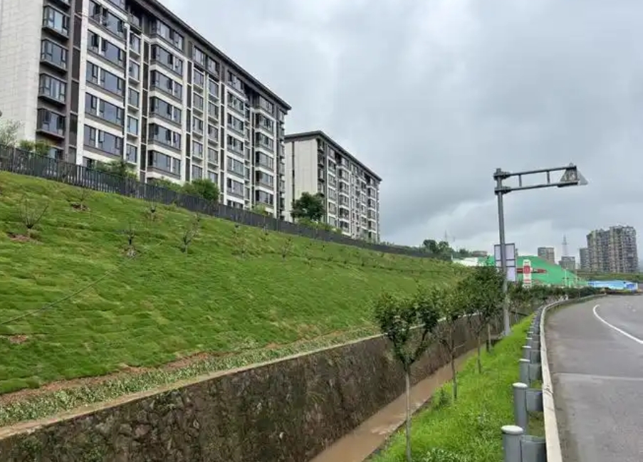 河北可研报告代写公司(图1)