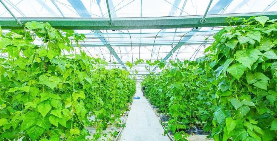 石家庄可研报告代写公司(图1)