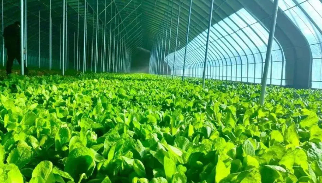 可行性研究报告编制费收费标准(图1)