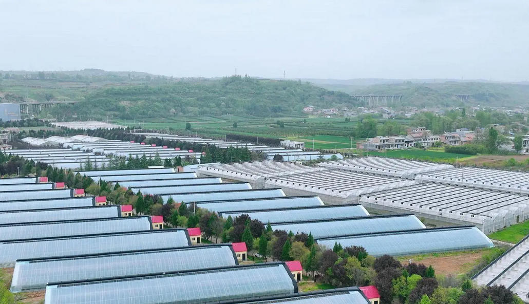 农业种植基地项目可行性报告内容(图1)