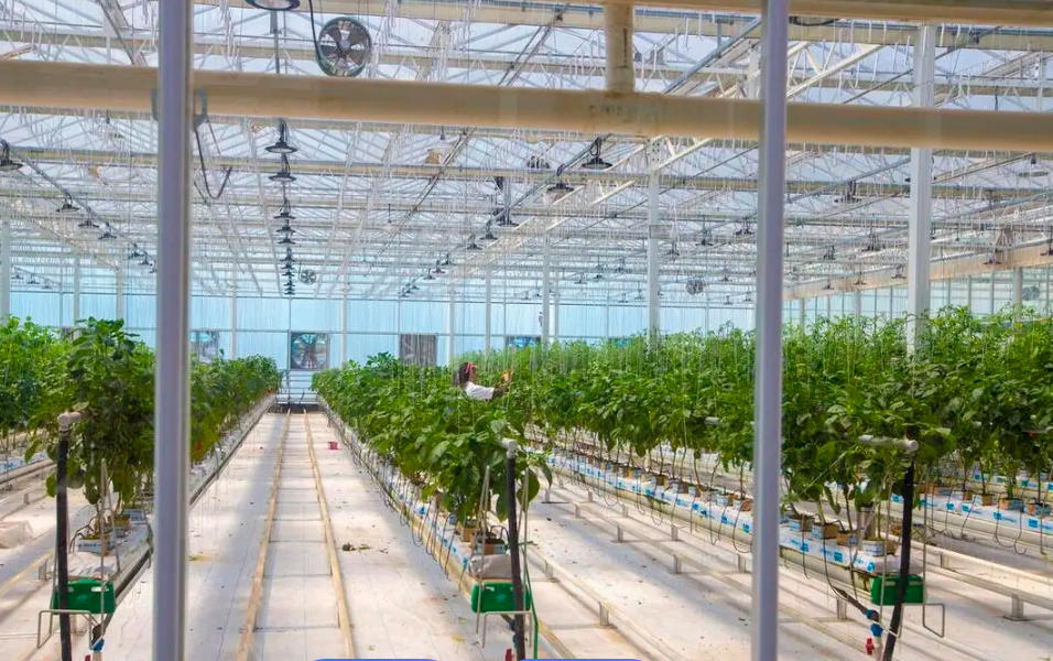 某设立种养一体化平台项目可行性研究报告案例(图1)