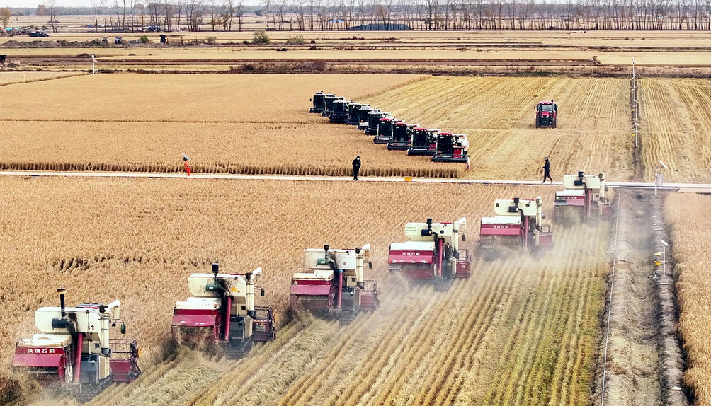 天津可行性研究报告编写公司(图1)
