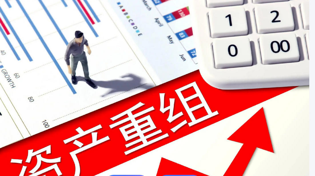 国企项目可行性研究报告​一般包含的内容(图1)