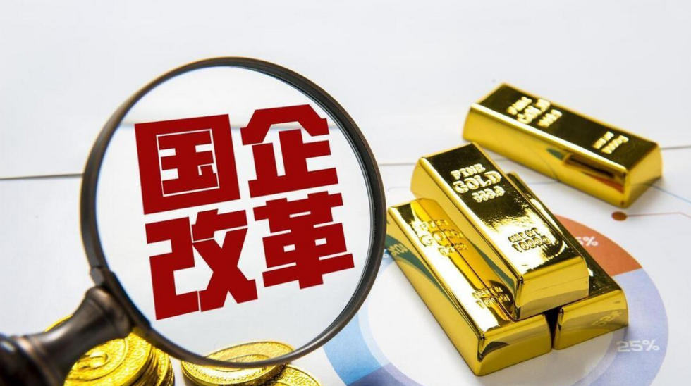 国企控股民营企业可行性报告(图1)