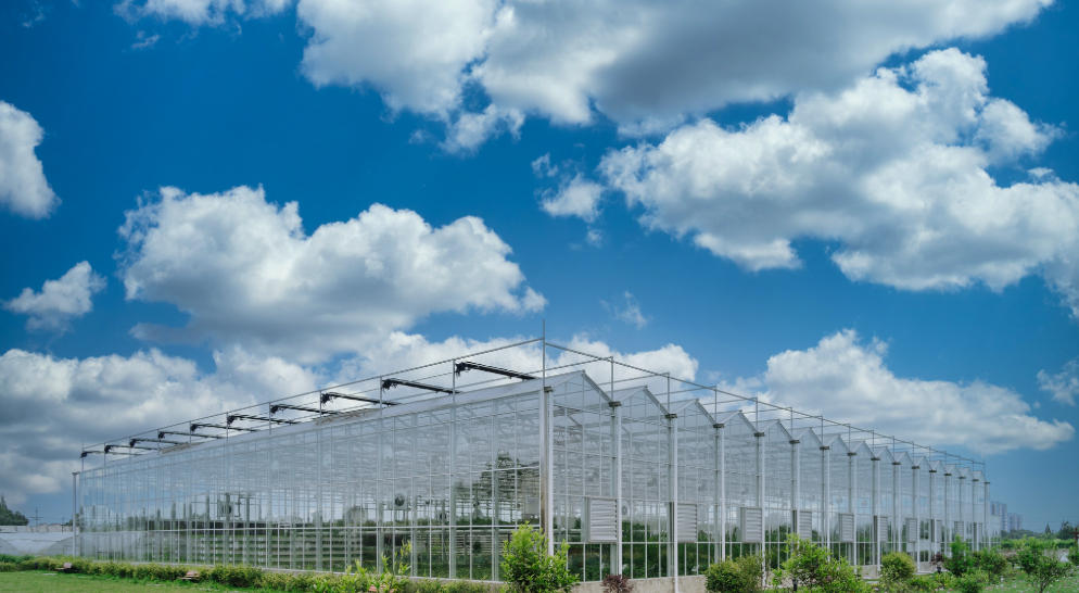 设立某合资公司项目 设立某合资公司项目可行性研究报告案例(图1)