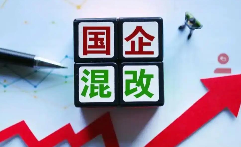 国企混改可行性报告主要内容(图1)
