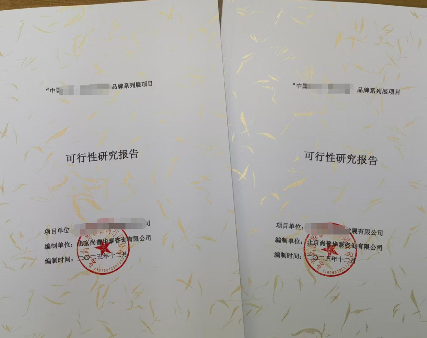 北京代写可行性报告公司(图1)