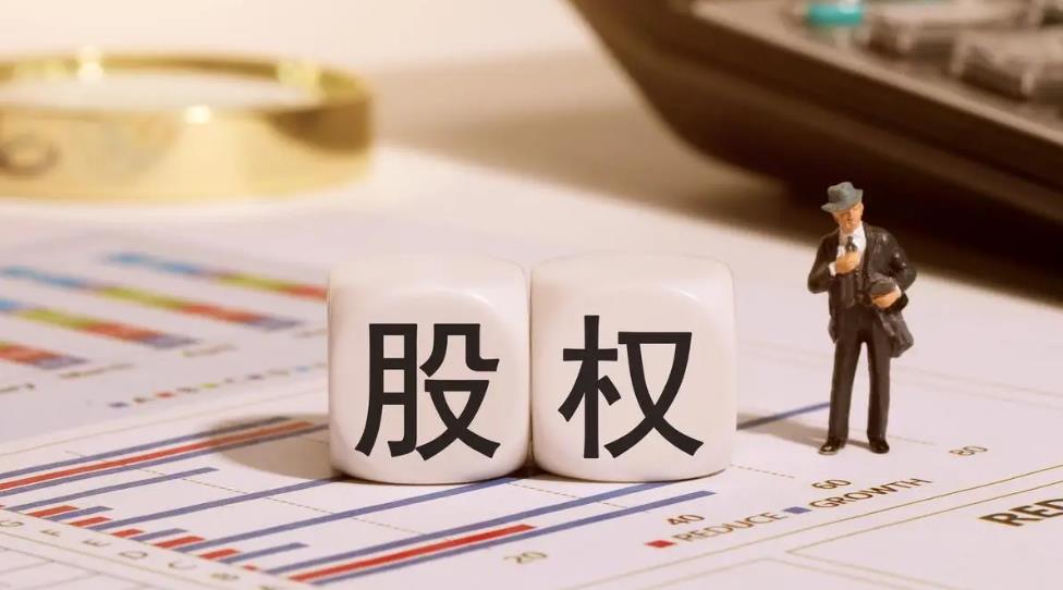 股权投资项目可行性报告编写内容(图1)